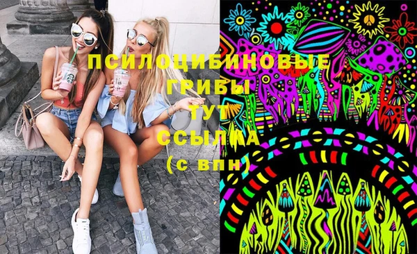 apvp Абинск